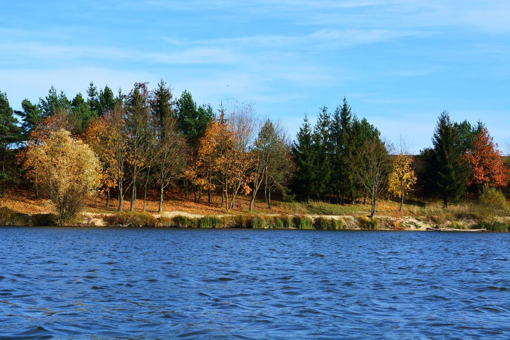 Фотографія Тепла осінь / Бор / photographers.ua