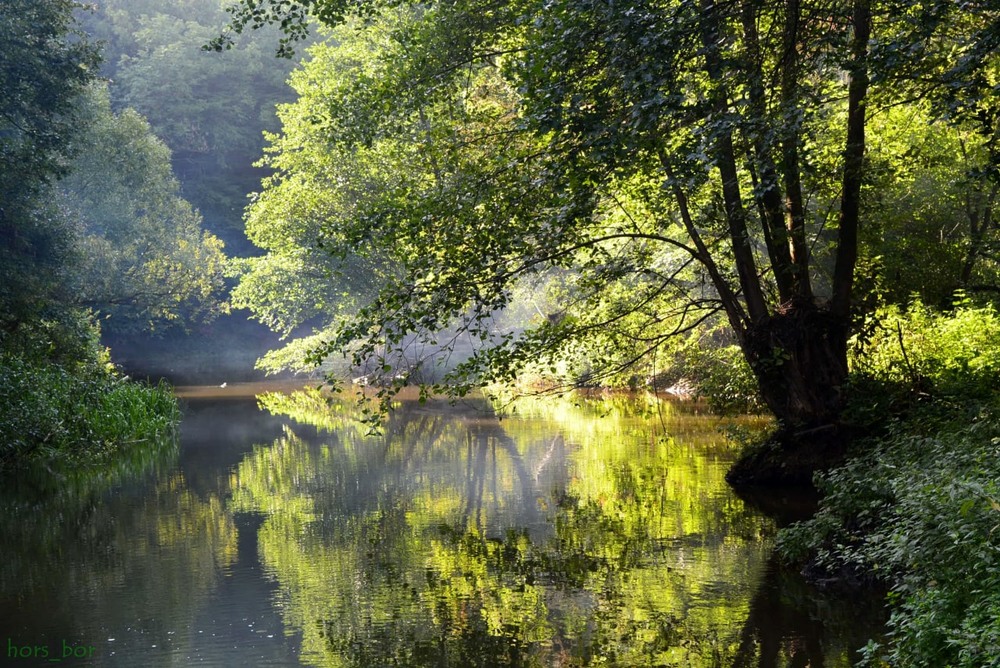 Фотографія Сонце і вода / Орест / photographers.ua