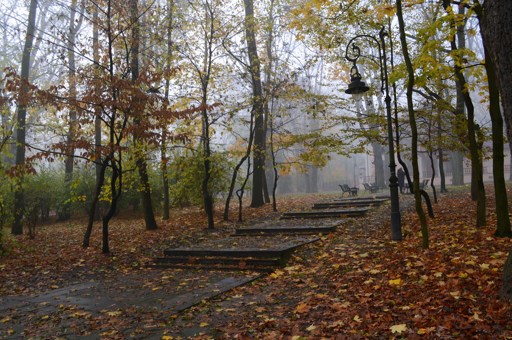Фотографія Сходи в осінь / Віталій Сеник / photographers.ua