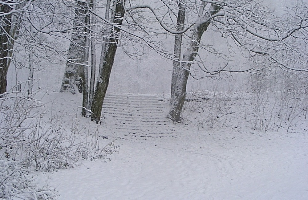 Фотографія Сходи в зиму / Віталій Сеник / photographers.ua