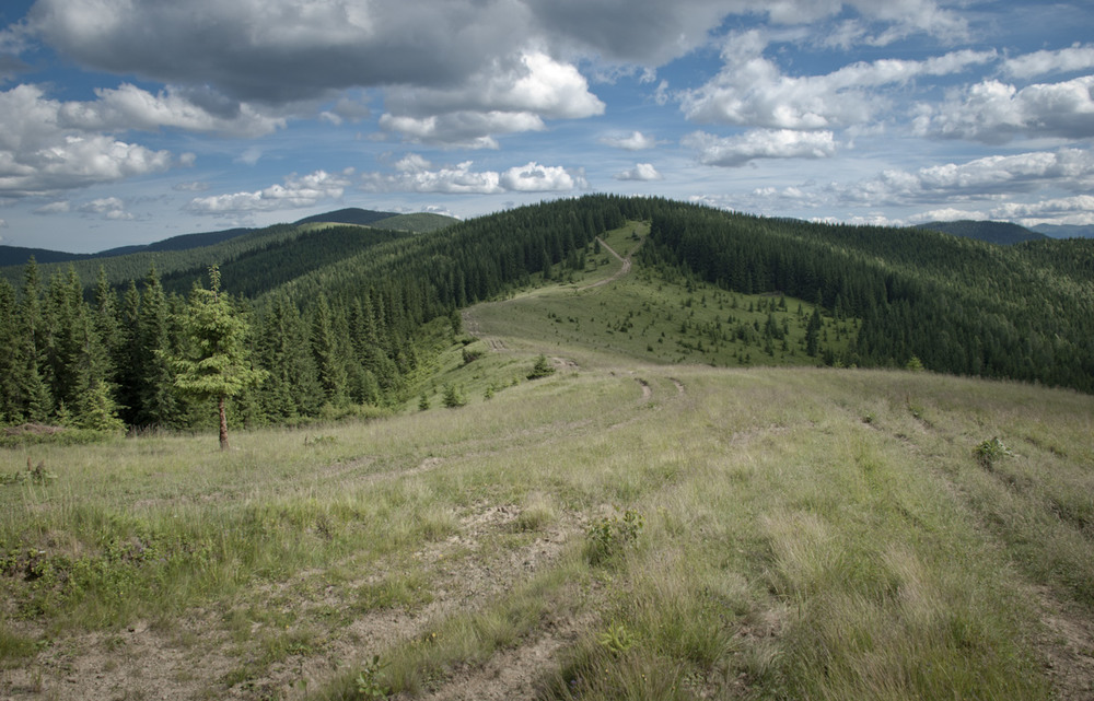 Фотографія літо в горах / Eugene Nabokov / photographers.ua