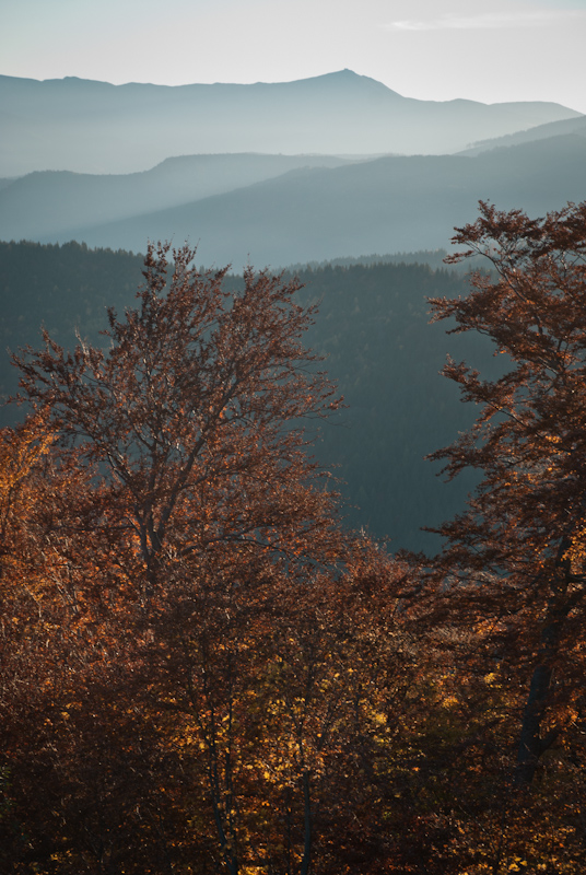 Фотографія Осінній ранок в горах / Eugene Nabokov / photographers.ua