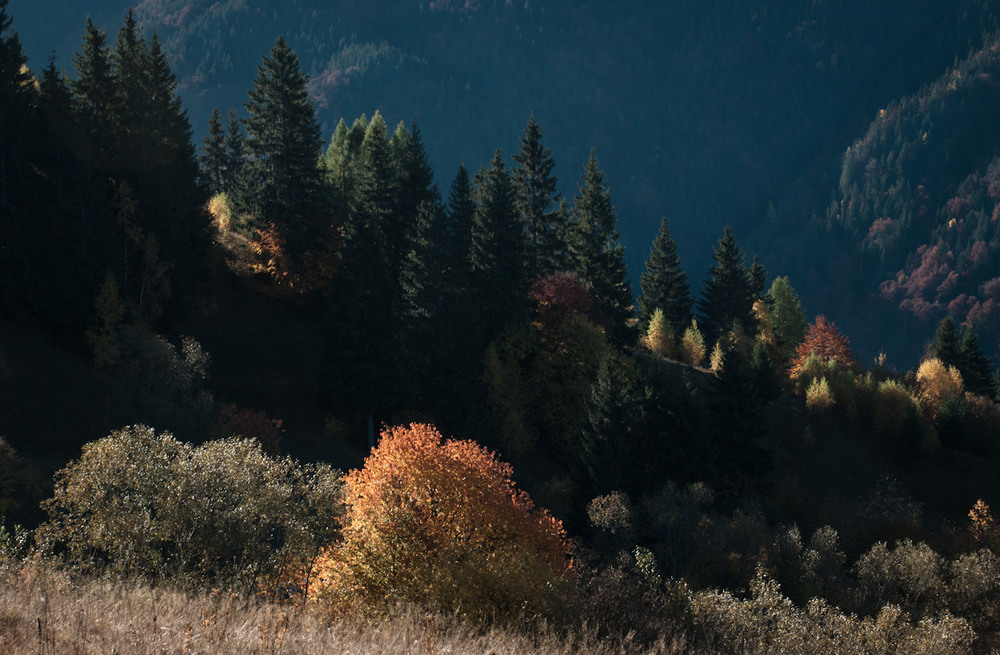 Фотографія Осінь в карпатських горах / Eugene Nabokov / photographers.ua