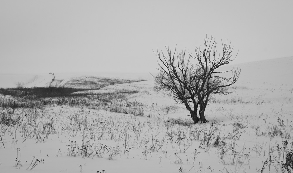 Фотографія Зима по Вінничині / Eugene Nabokov / photographers.ua