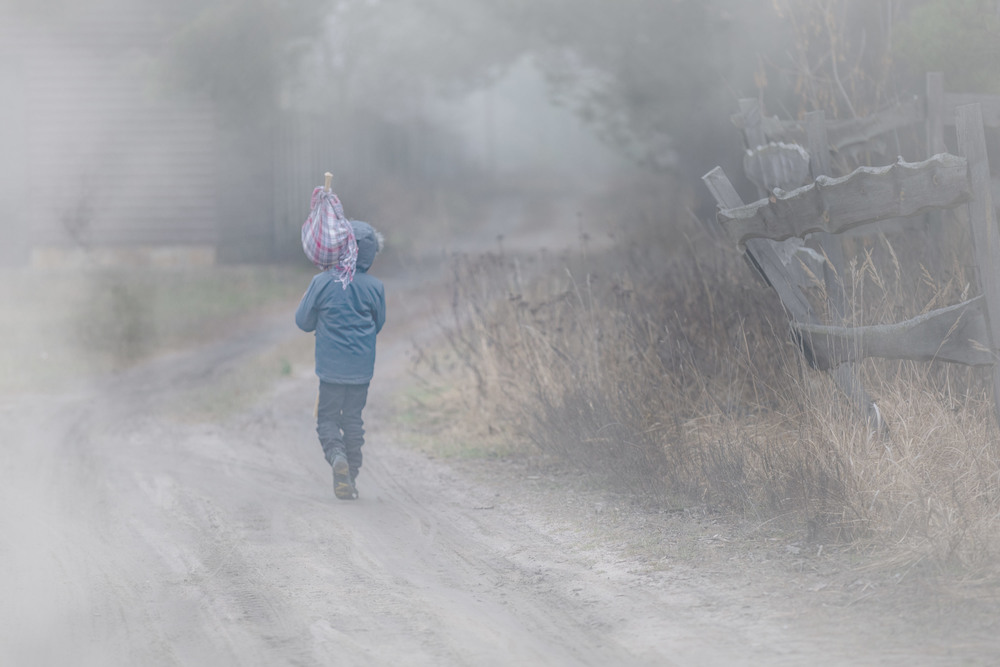 Фотографія Ежик в тумане / Zoya Kotko / photographers.ua