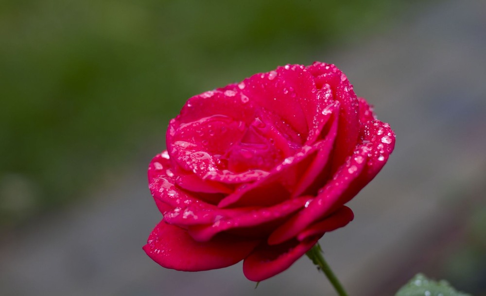 Фотографія Разное / Ігор / photographers.ua