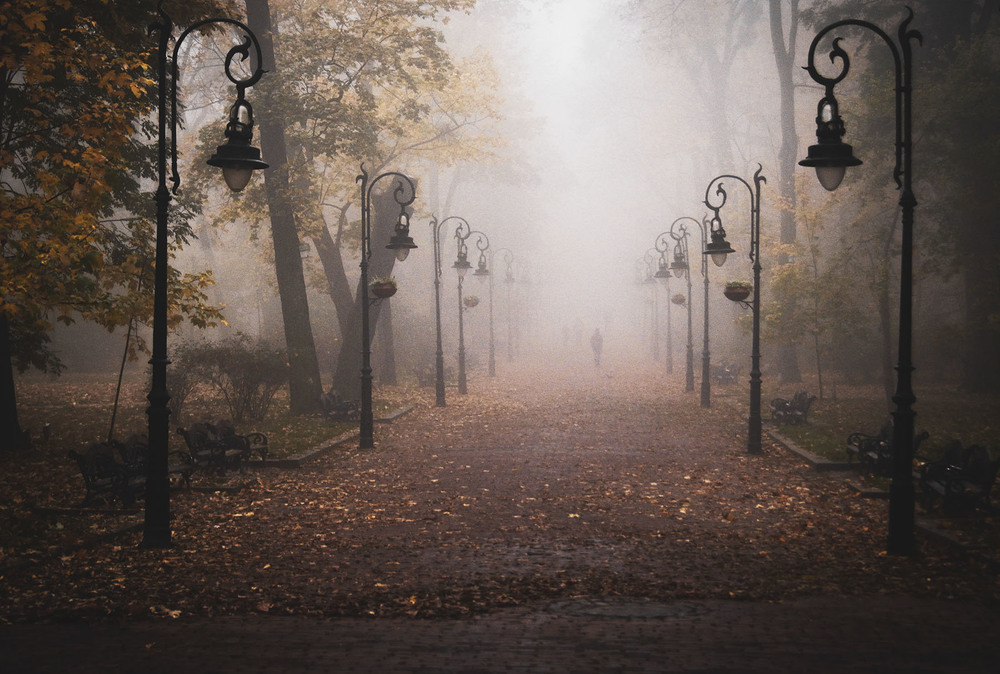 Фотографія "Осінь в парку" / Alexander Zvir / photographers.ua