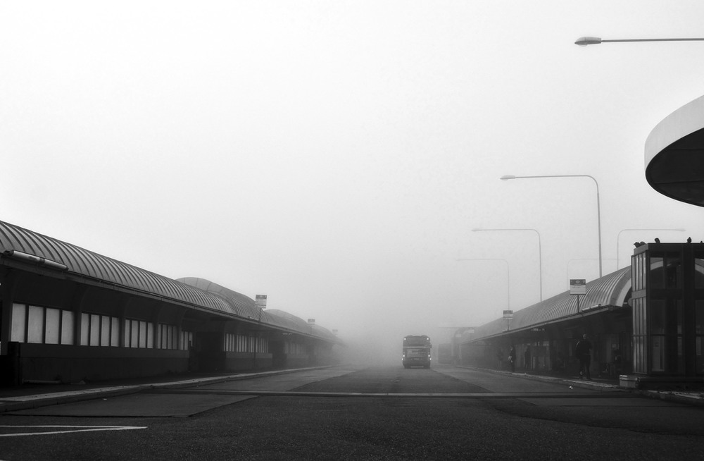 Фотографія In the direction of fog / Alexander Zvir / photographers.ua