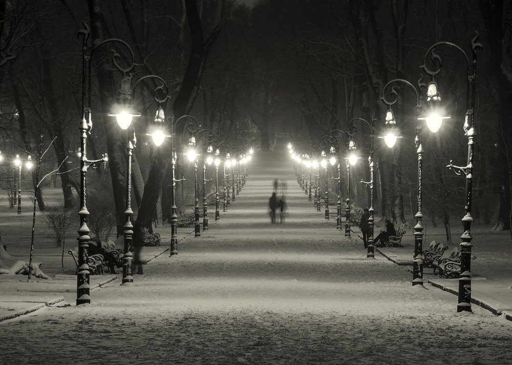 Фотографія Winter park / Alexander Zvir / photographers.ua