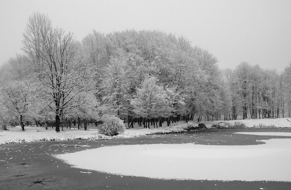 Фотографія "Black and White Winter" / Alexander Zvir / photographers.ua