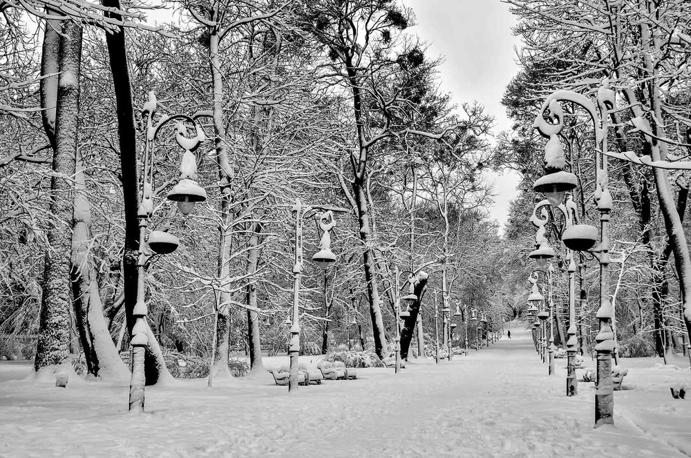 Фотографія "Winter Park" / Alexander Zvir / photographers.ua