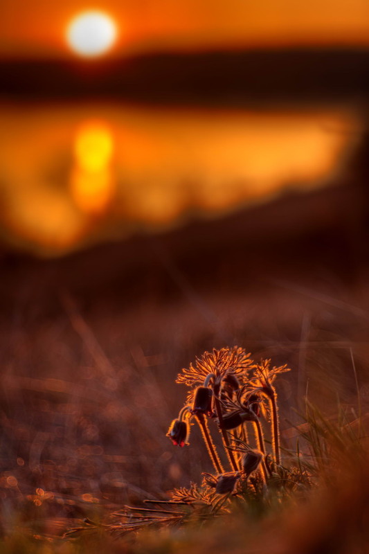 Фотографія Теплий вечір / Сергій Марков / photographers.ua