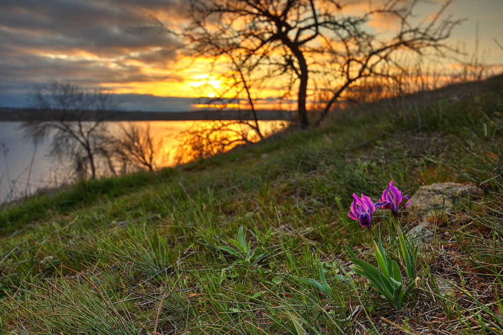 Фотографія Дніпровські кручі / Сергій Марков / photographers.ua