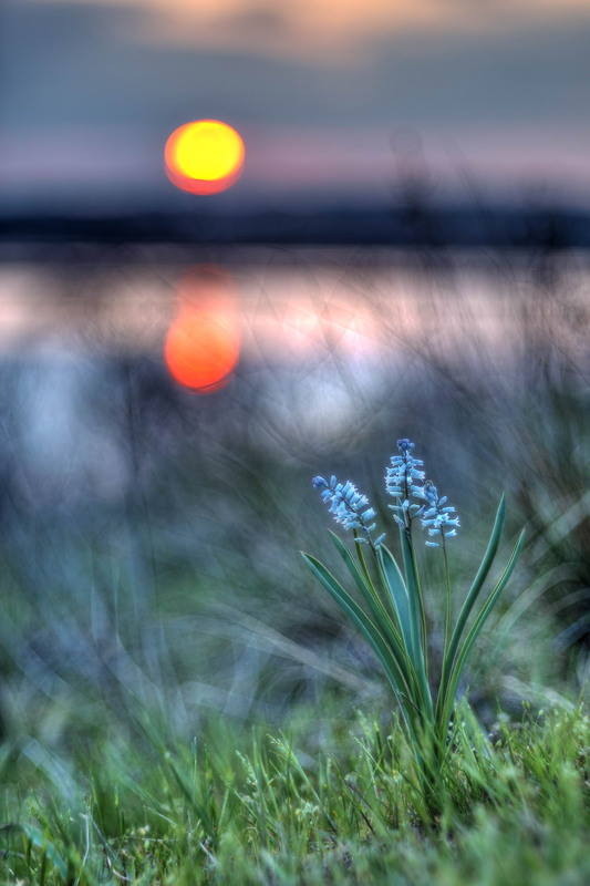 Фотографія Вечірні контрасти / Сергій Марков / photographers.ua