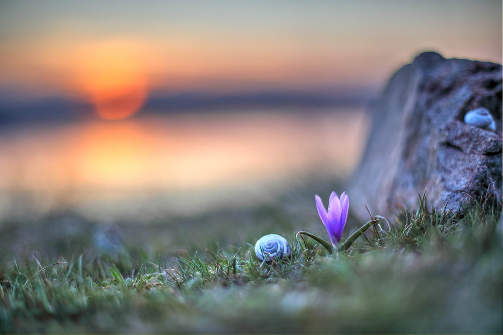 Фотографія Вечірнє / Сергій Марков / photographers.ua