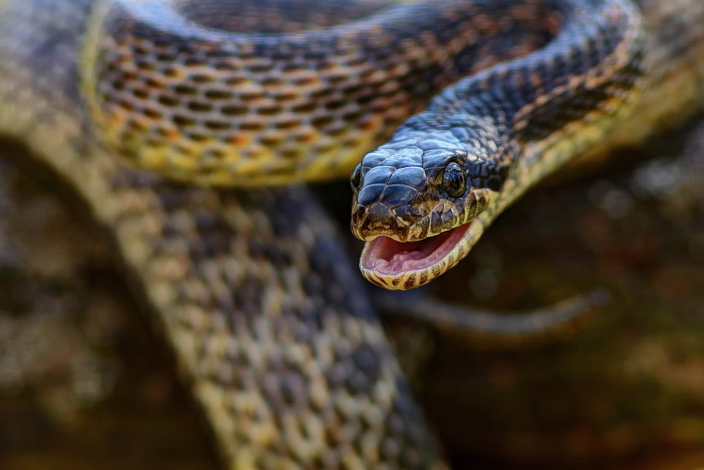 Фотографія Добраніч) / Сергій Марков / photographers.ua