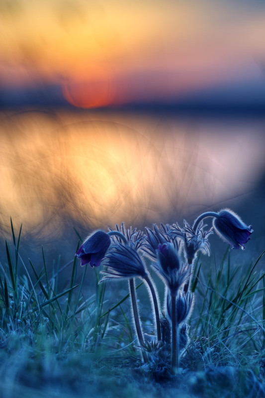 Фотографія День і ніч / Сергій Марков / photographers.ua