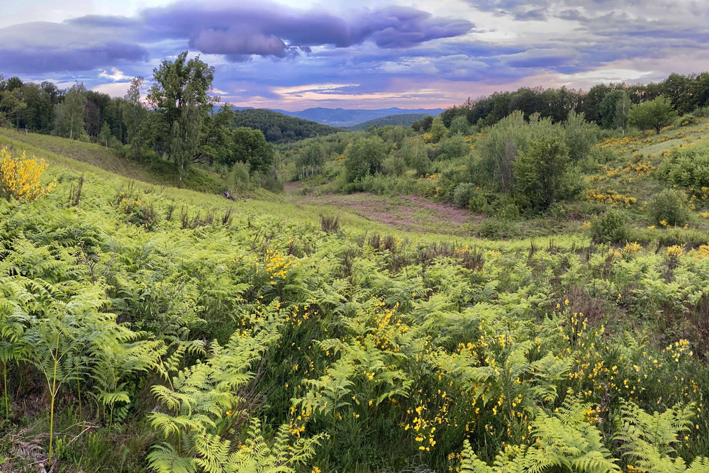 Фотографія Яскравий вечір / Сергій Марков / photographers.ua