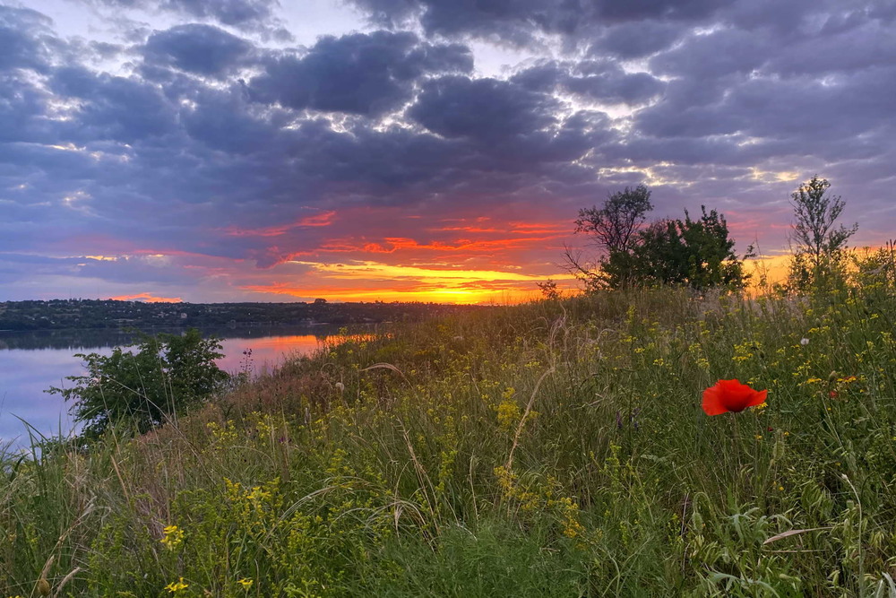 Фотографія Яскравий вечір / Сергій Марков / photographers.ua