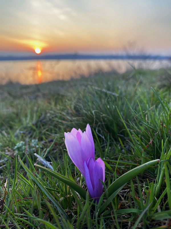 Фотографія Весняне сонце / Сергій Марков / photographers.ua