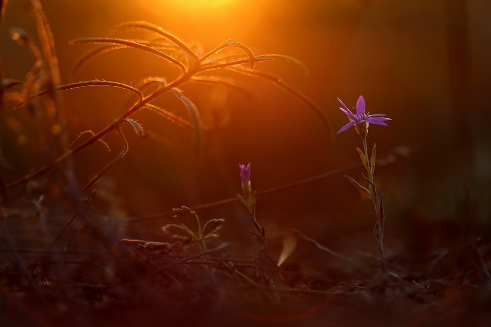 Фотографія Артхаос / Сергій Марков / photographers.ua