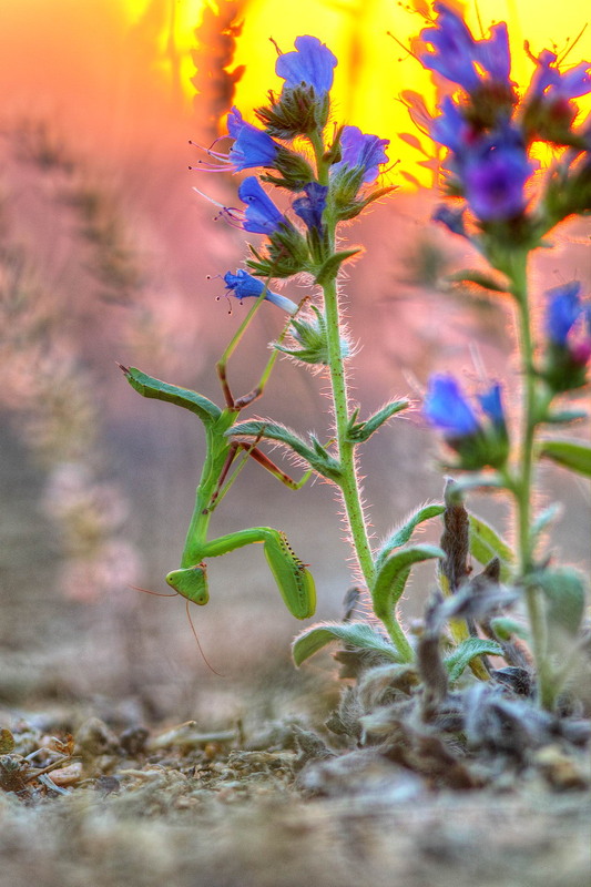 Фотографія Вечір на кручах / Сергій Марков / photographers.ua