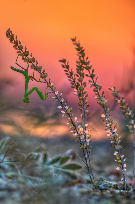 Фотографія Вечірні контрасти / Сергій Марков / photographers.ua