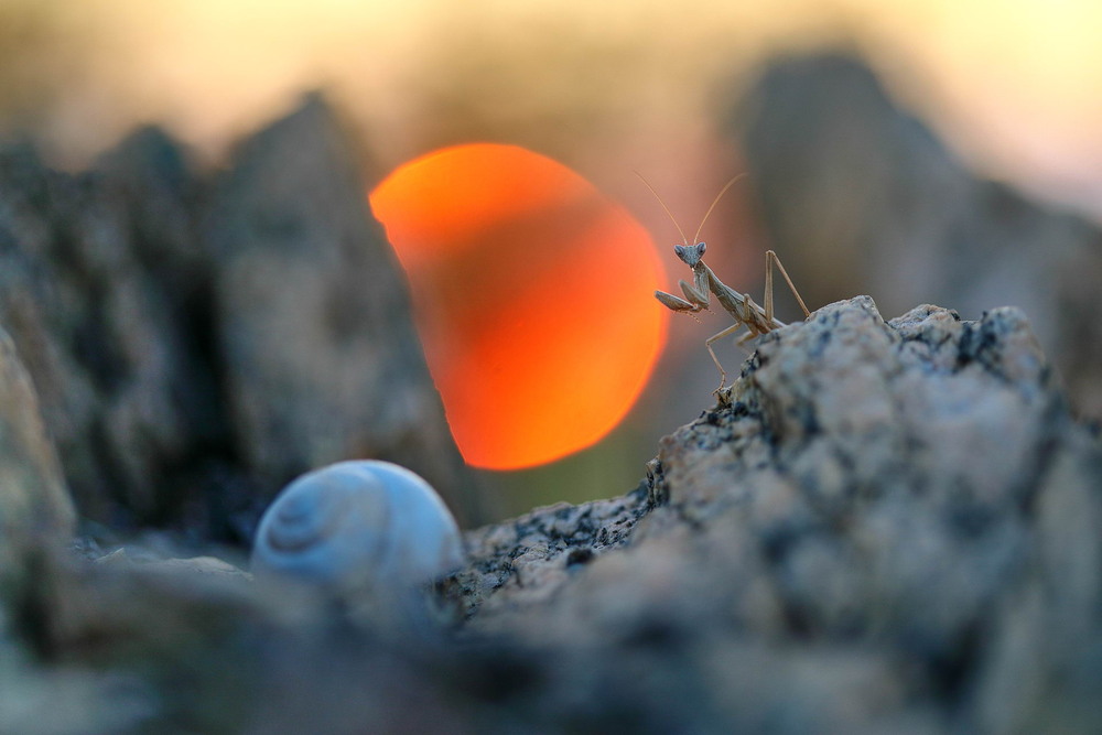 Фотографія The truth is out there / Сергій Марков / photographers.ua