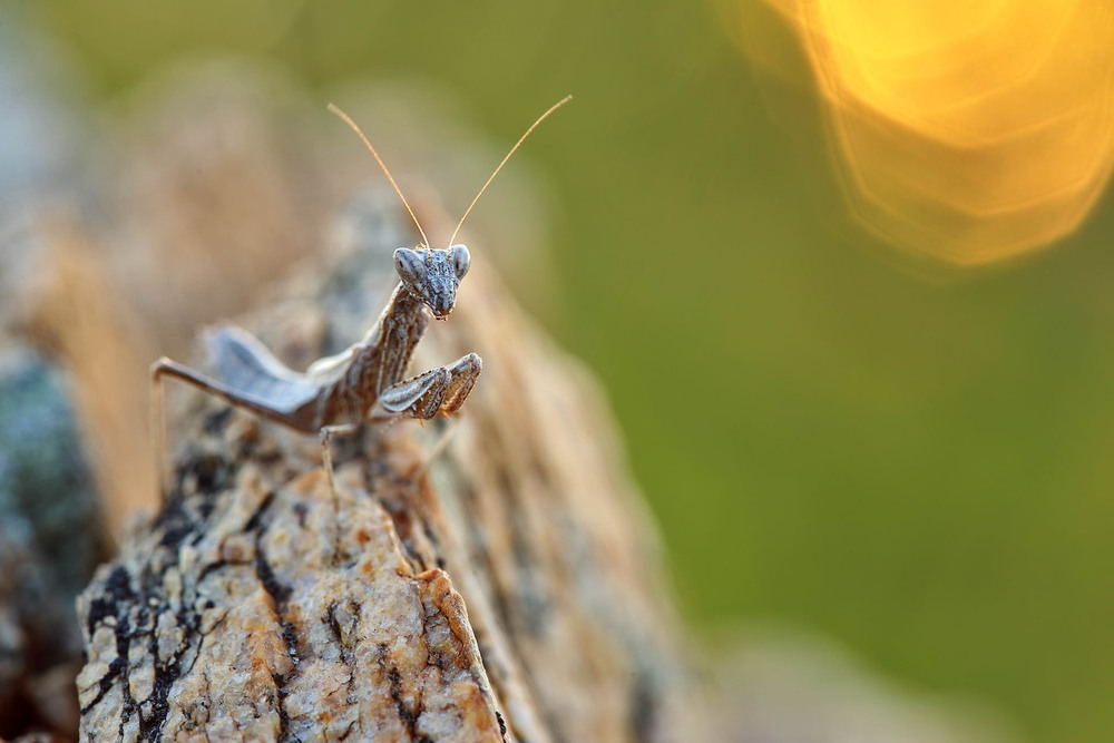 Фотографія Скелелаз / Сергій Марков / photographers.ua