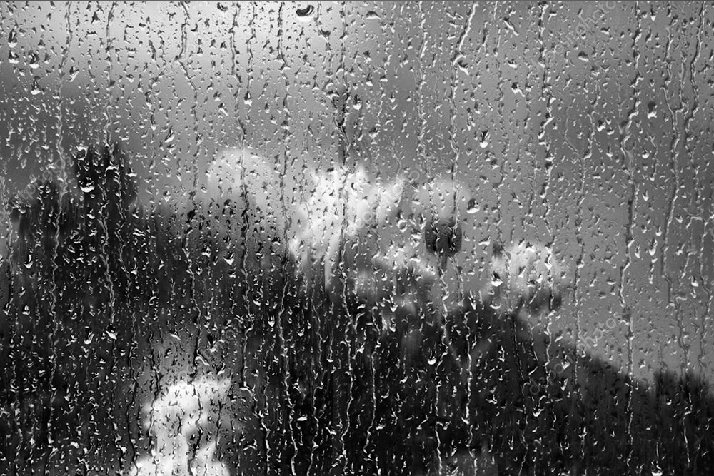 Фотографія Теплий дощ... / Леся / photographers.ua