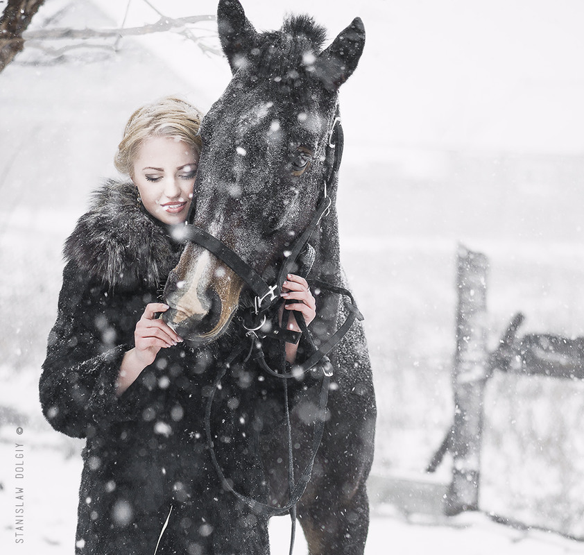 Фотографія зима / Станислав Долгий / photographers.ua