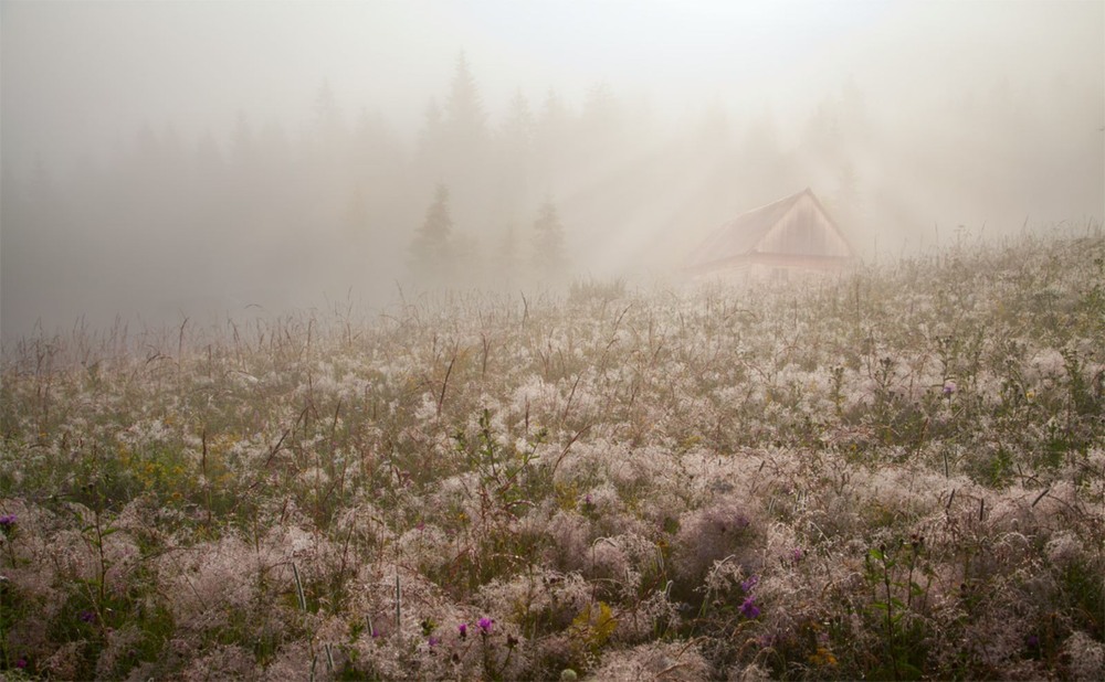 Фотографія Задзеркалля / Юлія Рублевська / photographers.ua