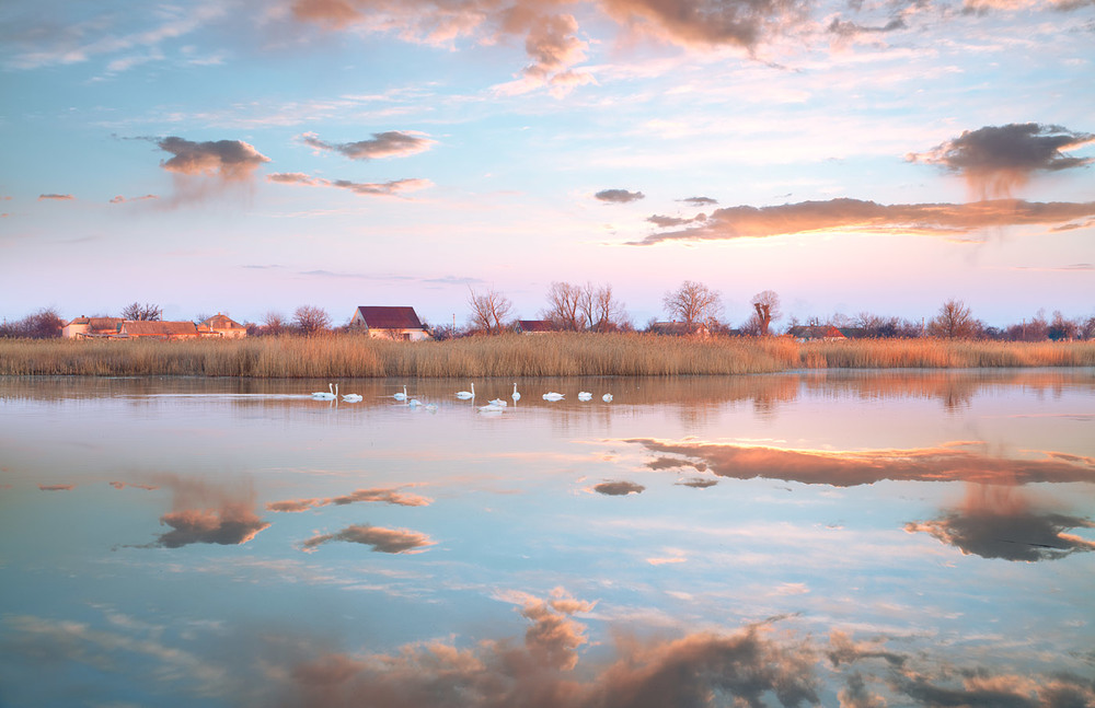 Фотографія Лебединое озеро / Юлія Рублевська / photographers.ua