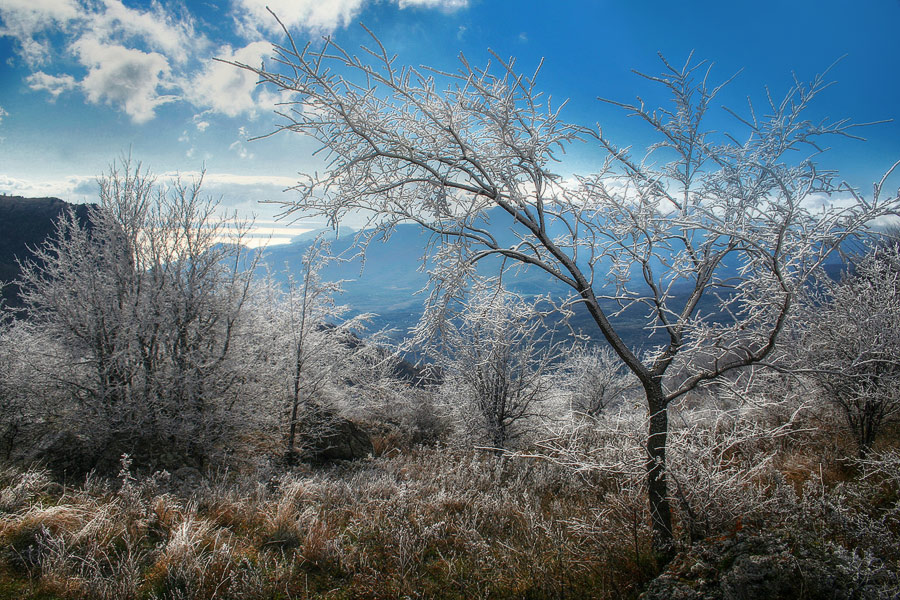 Фотографія Студеное дыхание декабря.. / Yuriy Gulyaev / photographers.ua