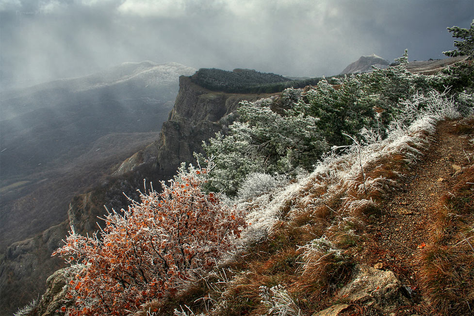Фотографія Здесь осень в зиму облачилась.. / Yuriy Gulyaev / photographers.ua