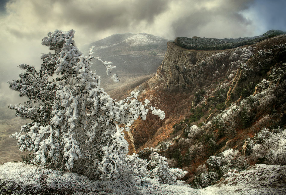 Фотографія Причудливые очертания крымской зимы.. / Yuriy Gulyaev / photographers.ua