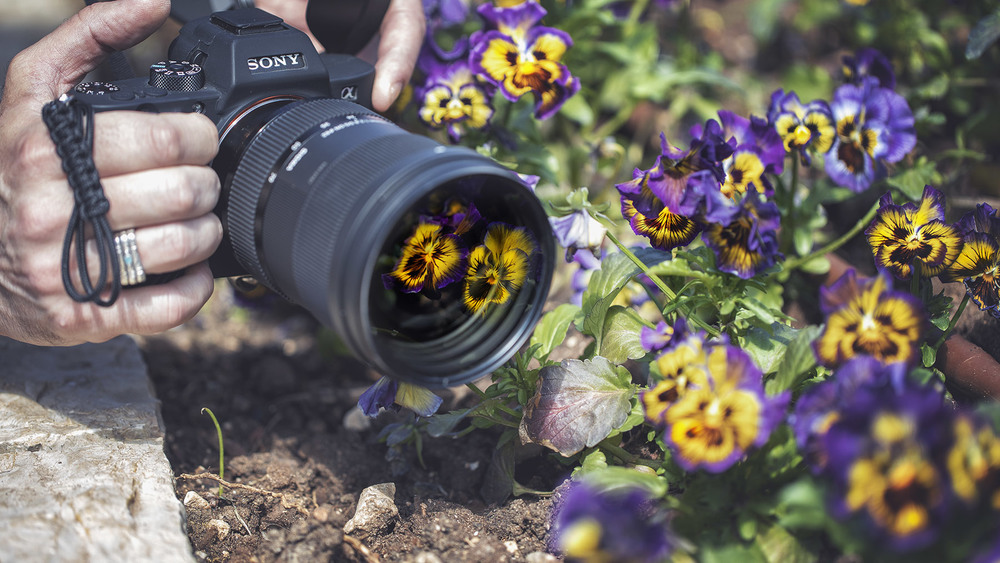 Фотографія Cезон охоты на цветы открыт! / Andrey / photographers.ua