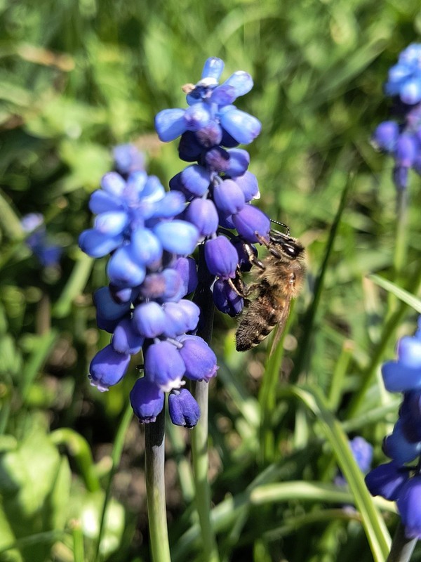 Фотографія Пейзаж / Віталій Viv / photographers.ua