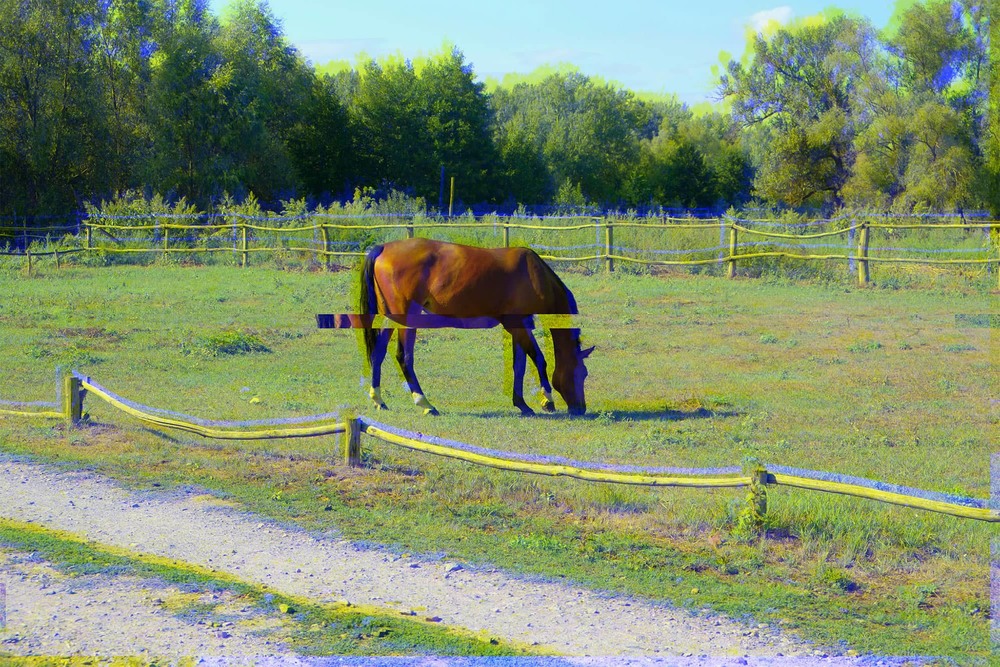 Фотографія Horse (glitch #4) / Свят Филатов / photographers.ua