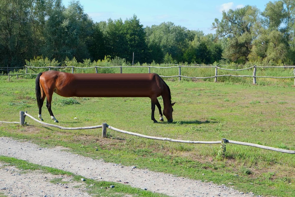 Фотографія Horse glitch (#19 / LIMO) / Свят Филатов / photographers.ua