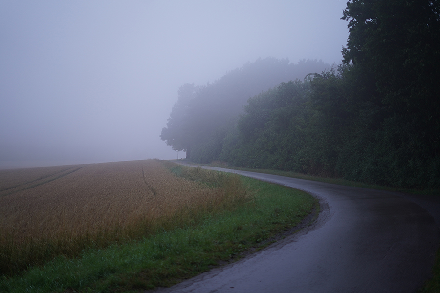 Фотографія Пейзаж / Корнієнко Євгеній / photographers.ua