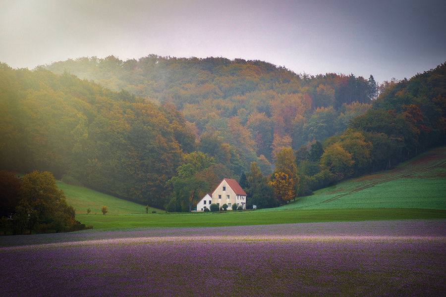 Фотографія Пейзаж / Корнієнко Євгеній / photographers.ua