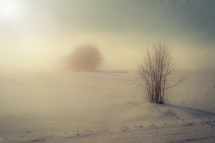 Фотографія Сонце, сніг і туман... / Корнієнко Євгеній / photographers.ua