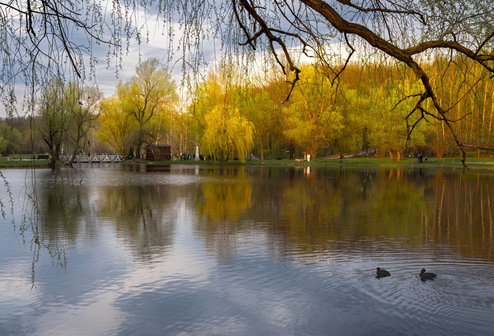 Фотографія Весняні барви / Nestor Arestoff / photographers.ua