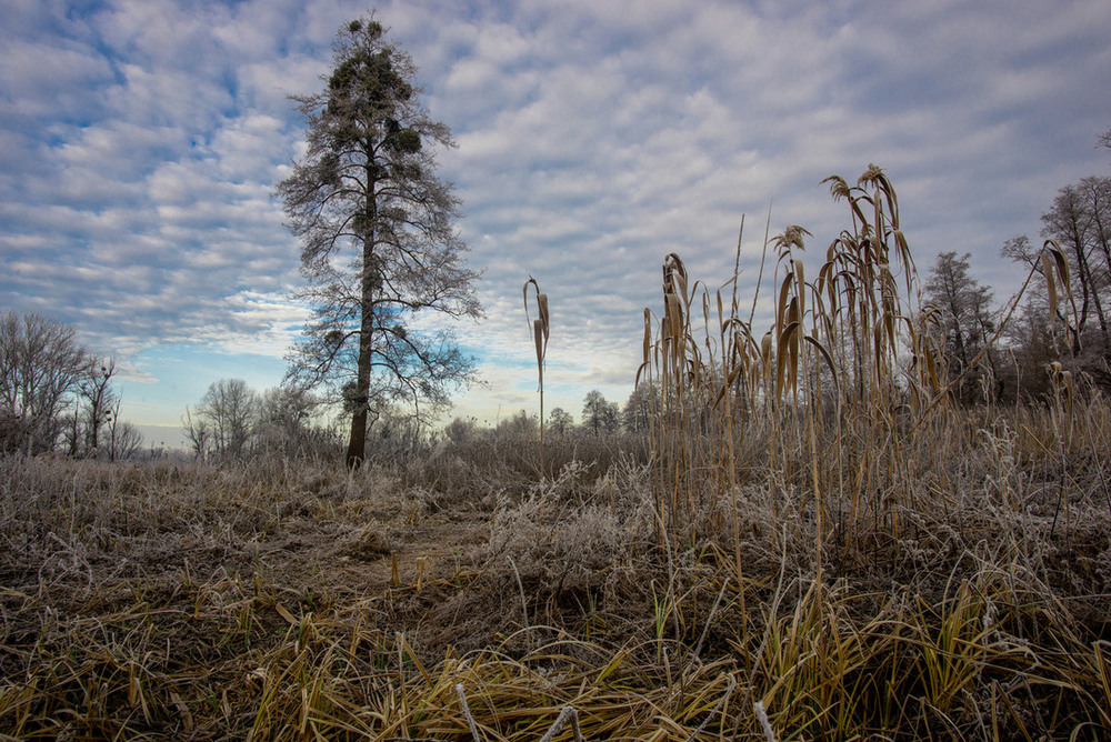 Фотографія Пейзаж / Nestor Arestoff / photographers.ua