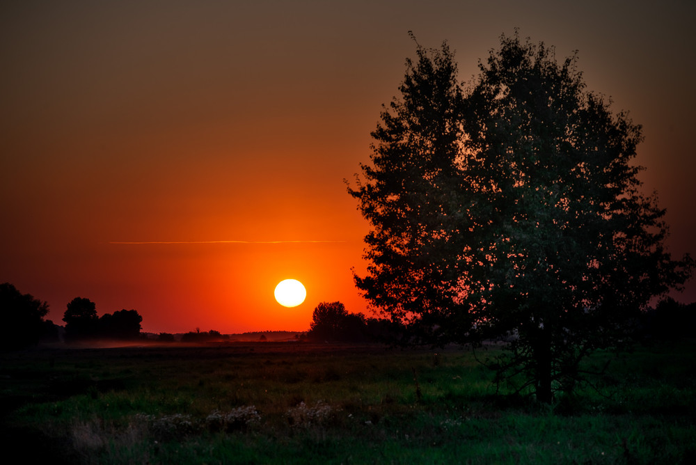 Фотографія *** / Nestor Arestoff / photographers.ua