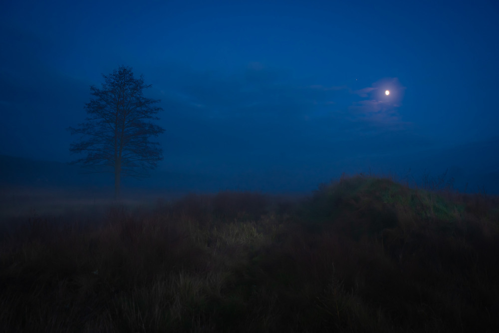 Фотографія Магія осінньої ночі / Nestor Arestoff / photographers.ua