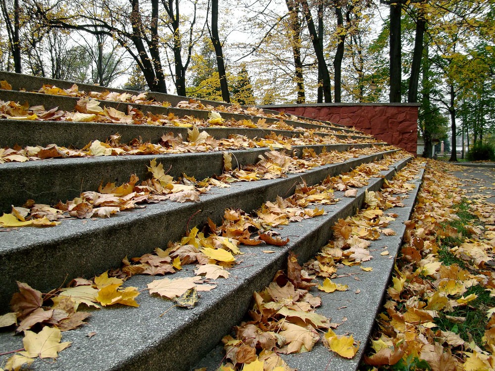 Фотографія Крокує осінь... / Тома И. / photographers.ua