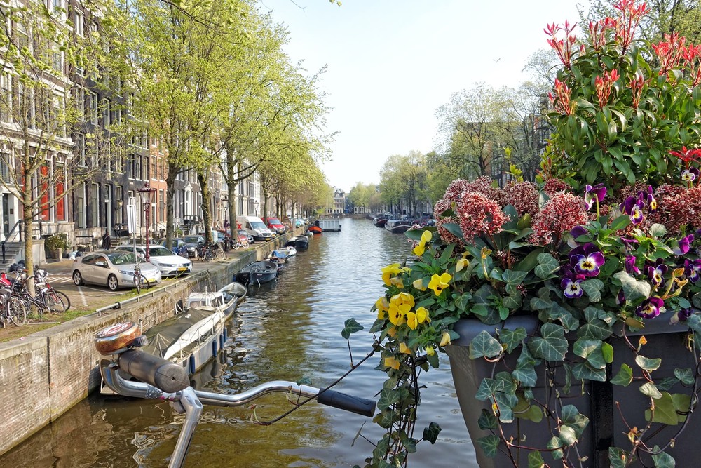 Фотографія Весняний Амстердам / Тома И. / photographers.ua