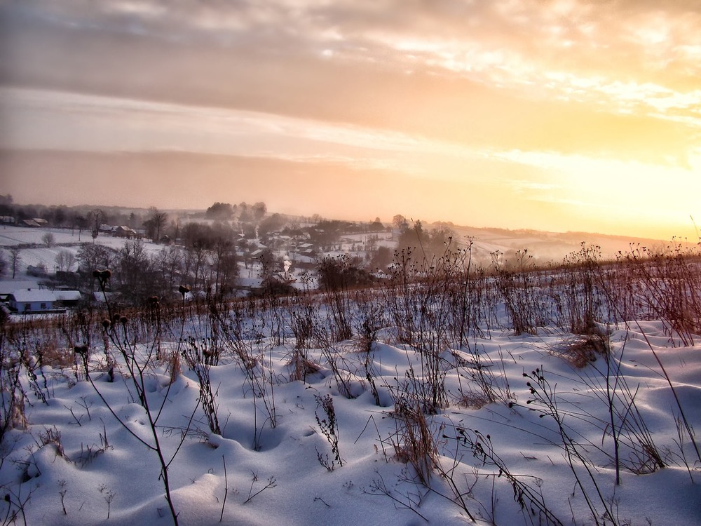 Фотографія Колишня зима / Тома И. / photographers.ua